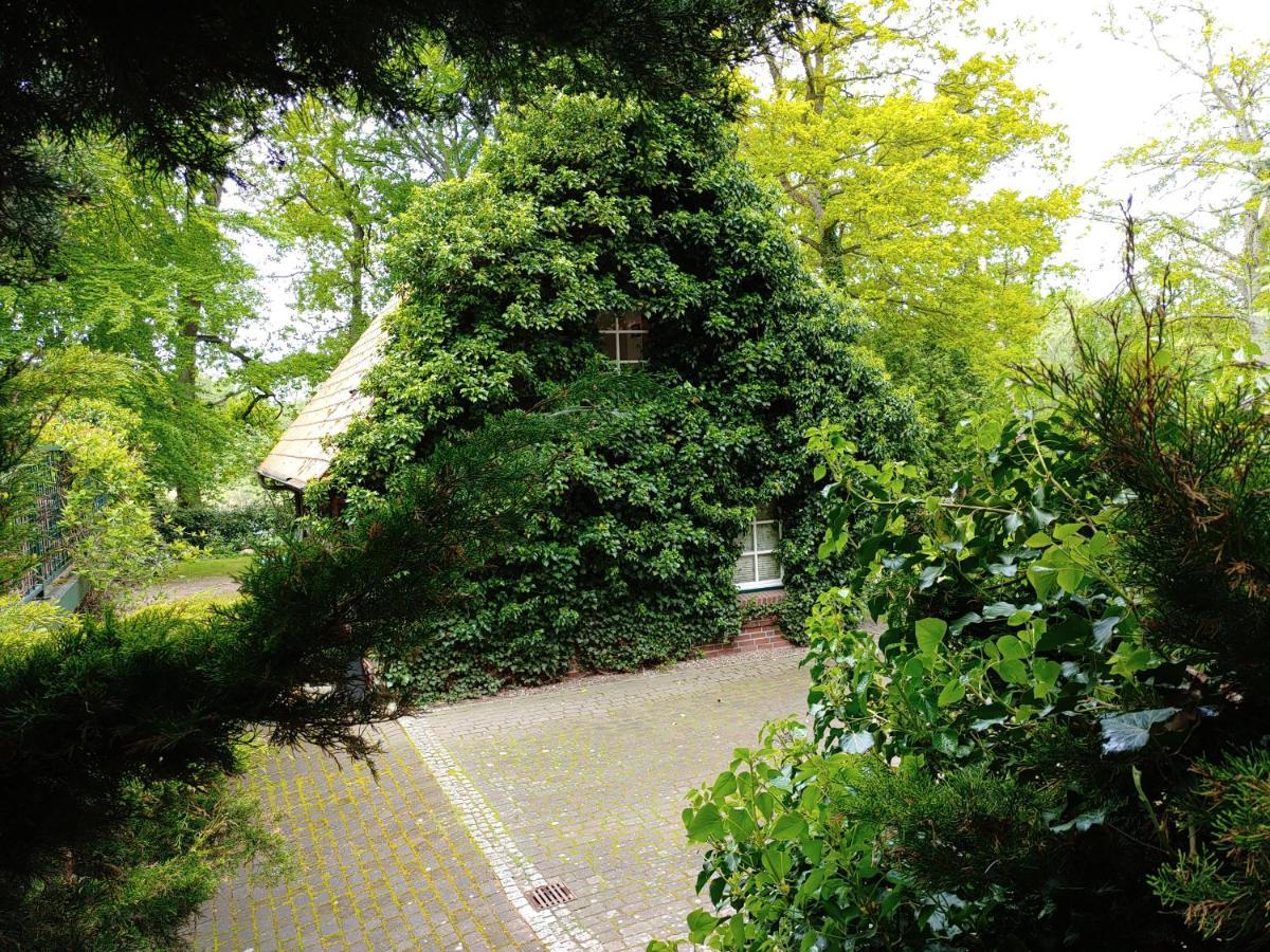 4 Sterne-Haus Am See Варен Экстерьер фото