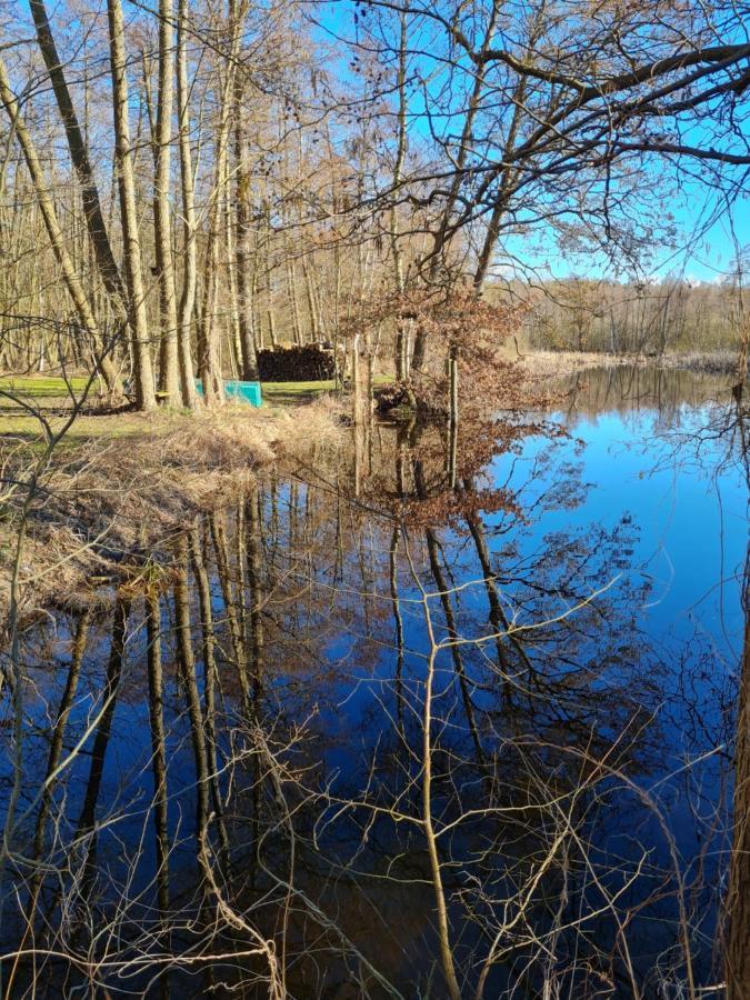 4 Sterne-Haus Am See Варен Экстерьер фото